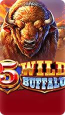 5 Wild Buffalo